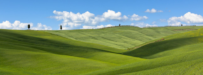 Canvas Print - Tuscan Val d'Orcia background