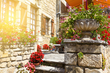 Canvas Print - Bright flower pots on an ancient stone house in France