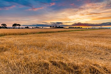 Poster - Spectacular sunset over stubble field