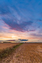 Poster - Spectacular sunset over stubble field