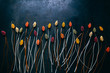 flowers composition made out of colorful pasta on the dark  table, topview