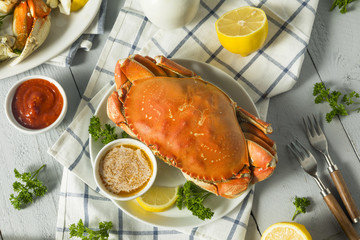 Sticker - Fresh Caught Dungeness Crab