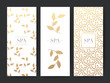 Branding Packageing leaf nature background, logo banner voucher, Gold leaves ornaments, vector illustration