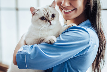 Wall Mural - Doctor veterinarian at clinic