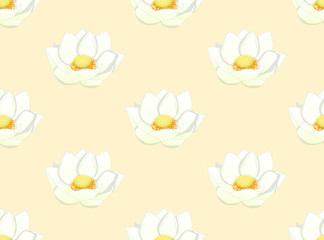 White Indian Lotus on Ivory Beige Background