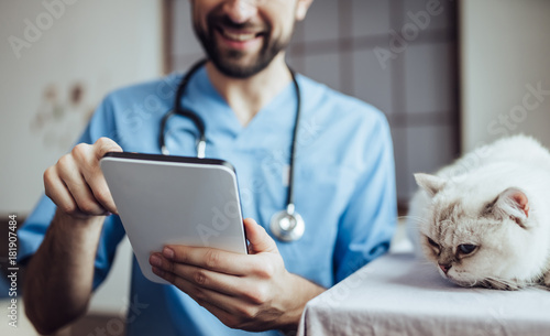 Obraz Dibond Doctor veterinarian at clinic
