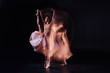 © zinkevych - Great show. Attractive nice flexible dancer standing on the stage and raising her leg up while preparing her performance