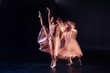 © zinkevych - Professional female dancer. Serious nice well built woman holding her leg up and showing her mastery while dancing