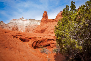 Wall Mural - The color and unique desert beauty of massive rock formations of red and white sandstone at Kodachrome Basin State Park, Utah, USA.