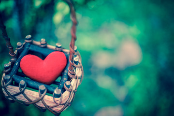 red heart in the basket in the nature with dramatic tone