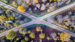 Drone view of a wood with crossroads and colorful trees