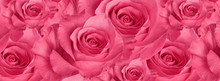  Cover  Beautiful  Pink Rose