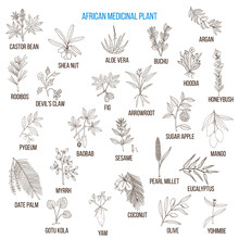 African Medicinal Plants