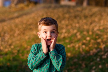 A shocked boy. A surprised boy in autumn outside in the park