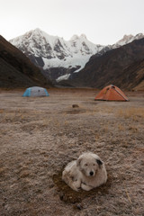 Wall Mural - Sunrise Cordillera Huayhuash