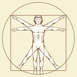 Leonardo Da Vinci Vetruvian Man, human anatomy