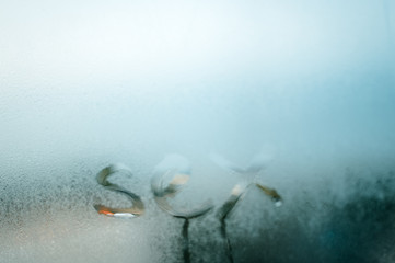 Closeup sign of sex on the foggy window glass with dripping drops condensated background, sensual steamy abstraction