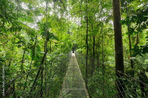 Plakat most wiszący  wiszacy-most-wiszacy-w-rezerwacie-lasow-chmurowych-monteverde-kostaryka