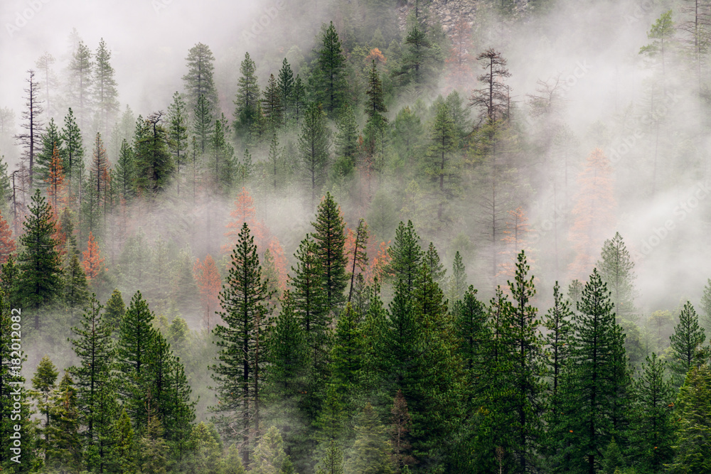 yosemite-3