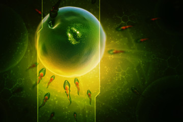 Poster - 3d illustration showing sperms and egg