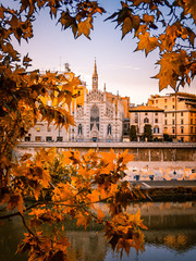 Wall Mural - Rome Italy in Autumn (Fall) with yellow leaves, river and beautiful architecture