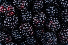 Fresh Ripe Organic Blackberries