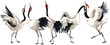 Japanese crane bird seamless pattern, watercolor illustration. 