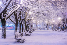 Amazing Winter Night Landscape Of Snow Covered Bench Among Snowy Trees And Shining Lights During The Snowfall. Artistic Picture. Beauty World.