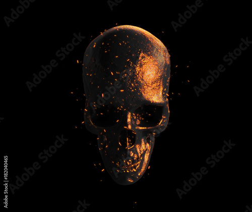 Burned Skull Wallpaper 3d Illustration Buy This Stock