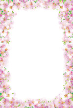 Vector Pink, Floral Frame Isolated, Bokeh Effect.