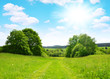 © vencav - Spring landscape with blue sky in Czech Republic.