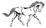 Fototapeta Konie - Beautiful horse image, vector