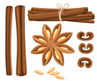 Cinnamon stick, star anise, anise and cardamom vector. Isolated icons on white background