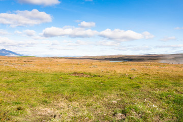 Wall Mural - icelandic landscape near Gullfoss waterfall