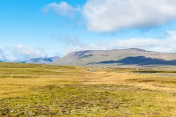 Wall Mural - landscape with road in Iceland in sunny day