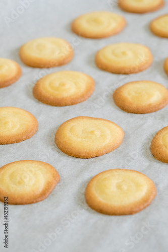 Close Up Homemade White Chocolate Cat S Tongue Cookies