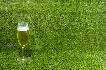 Beer beverages on grass.  Craft Beer close up isolated