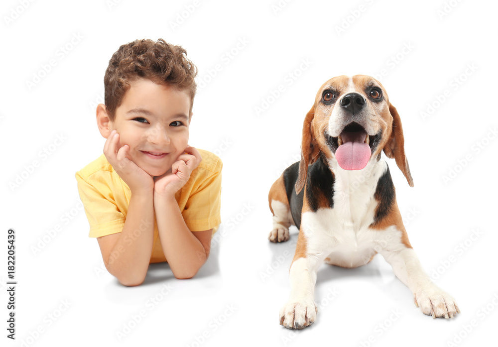 Cute little boy with dog on white background