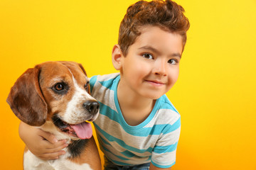 Cute boy with dog on color background