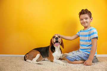 Wall Mural - Cute boy with dog near color wall