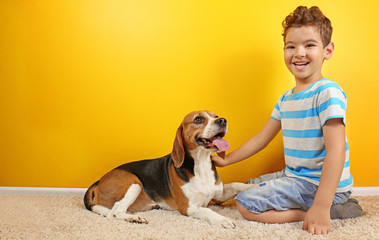 Sticker - Cute boy with dog near color wall