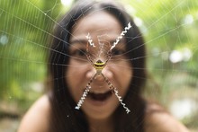 Woman Face Behind Garden Spider