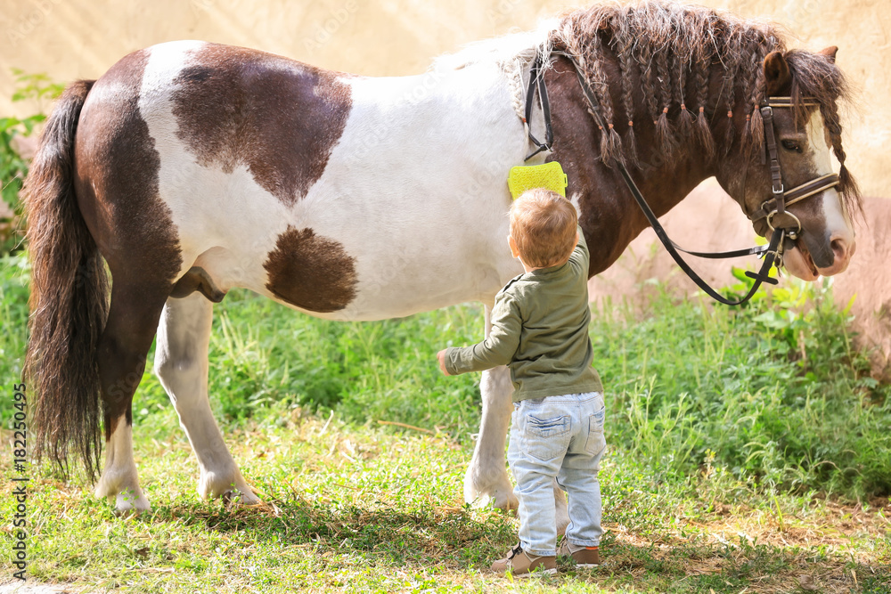Cute little boy with horse on farm