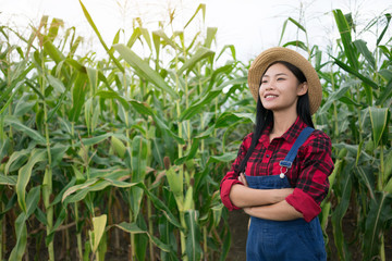 Happy farmer in the corn field