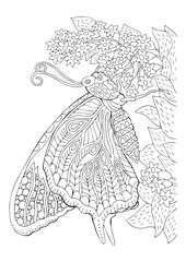 Hand drawn butterfly and flower. Sketch for anti-stress adult coloring book in zen-tangle style. Vector illustration for coloring page.