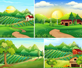 Fototapeta  - Four background scenes of farmyard