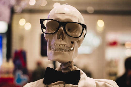 Skull with eye glasses and bow tie. Smart skeleton