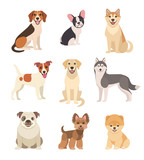 Fototapeta Fototapety na ścianę do pokoju dziecięcego - Dogs collection. Vector illustration of funny cartoon different breeds dogs in trendy flat style. Isolated on white.