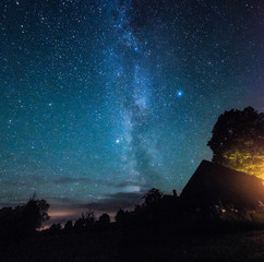 Wall Mural - Stars over the trees at summer night on dark sky. Starfall. Milky way. Pine trees on the foreground.