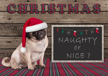 Cute Christmas  Pug Puppy Dog With Santa Hat And Blackboard With Text Naughty Or Nice, On Wooden Background